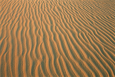 Sand ripples, between Kharga and Dakhla oases, Western Desert, Egypt, North Africa, Africa