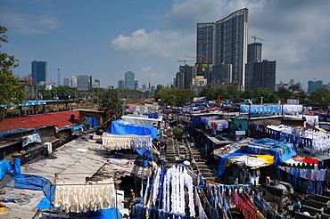 Slum washing ghats surrounded by expensive residential developments, Mumbai (Bombay), Maharashtra, India, Asia