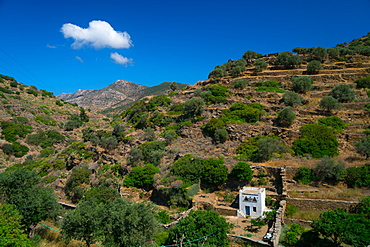 Small white dovecote in hilly country near Kamares Village, Sifnos, Cyclades, Greek Islands, Greece, Europe