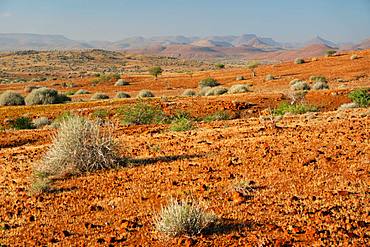 Typical red gravelly terrain, Etendeka, Namibia, Africa