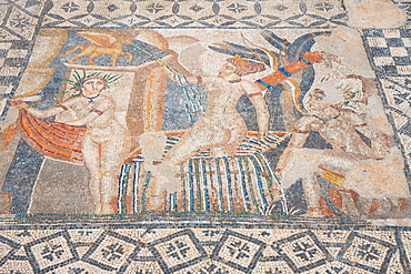 Mosaic of Diana and the bathing Nymphs from the Roman ruins, Volubilis, UNESCO World Heritage Site, near Meknes, Morocco, North Africa, Africa