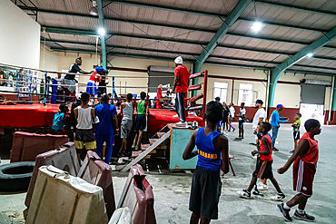 Young boxers in training, Boxing Academy Trejo, Havana, Cuba