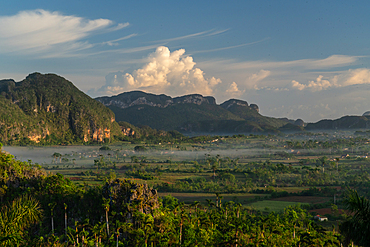 Val de Vinales, UNESCO World Heritage Site, early morning mist, Vinales, Cuba 4