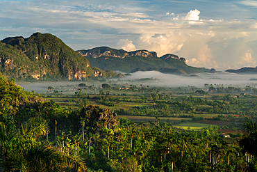 Val de Vinales, UNESCO World Heritage Site, early morning mist, Vinales, Cuba 3