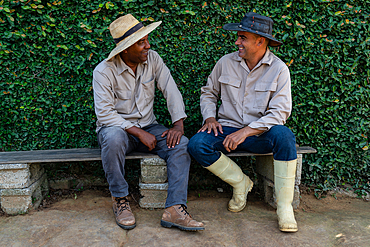 Tobacco plantation workers taking a break, Vinales, Cuba (2 Model Releases)