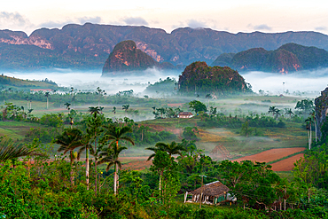 Val de Vinales, UNESCO World Heritage Site, early morning mist, Vinales, Cuba 6