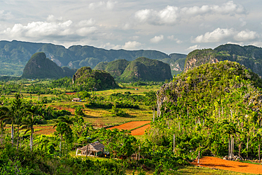 Val de Vinales, UNESCO World Heritage Site, afternoon light, Vinales, Cuba 2