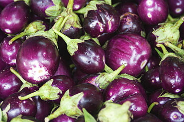 Aubergines on a market stall