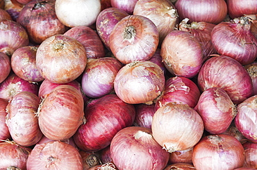 Onions on a market stall