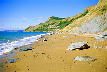 The coast and Thorncombe Beacon, Dorset, England, UK