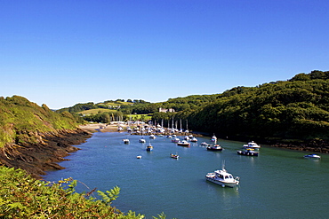 Watermouth Harbour, Devon, England, United Kingdom, Europe