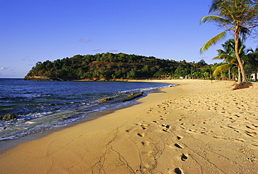 Hawksbill Beach, Antigua, Caribbean, West Indies, Central America