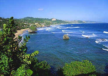 Bathsheba Coastline, Barbados East Coast