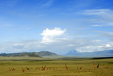 Ngorongoro Conservation Area, UNESCO World Heritage Site, Tanzania, East Africa, Africa