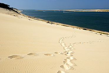 Footsteps in the sand on the Dune du Pyla, the largest dune in Europe, Bay of Arcachon, Cote d'Argent, Gironde, Aquitaine, France, Europe