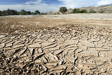 Dried river bed, Kaokoland, Namibia, Africa