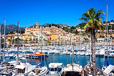 Old Town and Marina, Menton, Cote d'Azur, French Riviera, Provence, France, Mediterranean, Europe