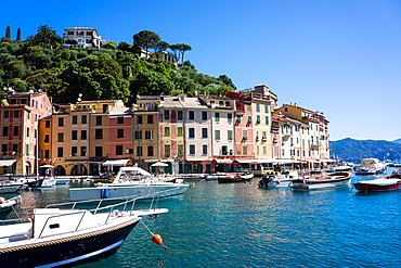 Portofino, Liguria, Italy, Europe