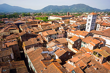 Roofscape from Torre delle Ore, Lucca, Tuscany, Italy, europe