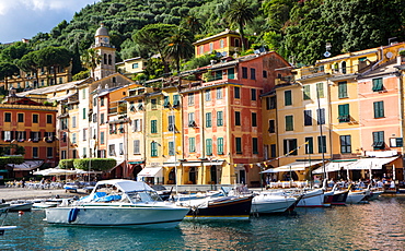 Marina, Portofino, Liguria, Italy, Europe