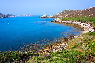 Cromwell's Castle, Isle of Tresco, Isles of Scilly, United Kingdom, Europe