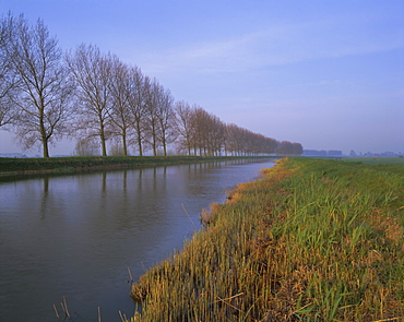 Tree-lined canal, Holland (The Netherlands), Europe