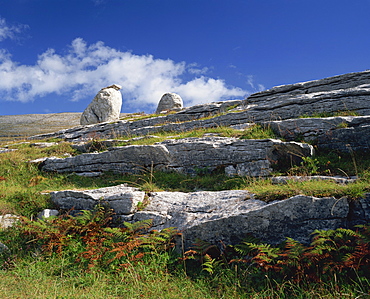 Rock formations of The Burren, County Clare, Munster, Republic of Ireland, Europe