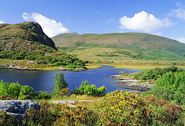 Ring of Kerry, between Upper Lake and Muckross Lake, Killarney, County Kerry, Munster, Republic of Ireland (Eire), Europe