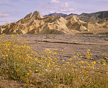 Zabriskie Point, Death Valley National Monument, California, United States of America (USA), North America