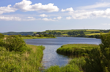 Slapton Ley, South Devon, England, United Kingdom, Europe