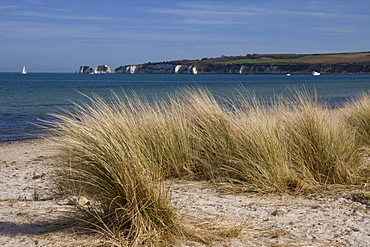 Studland Beach and The Foreland or Hardfast Point, showing Old Harry Rock, Isle of Purbeck, Dorset, England, United Kingdom, Europe