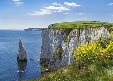 The Chalk cliffs of Ballard Down with The Pinnacles Stack in Swanage Bay, near Handfast Point, Isle of Purbeck, Jurassic Coast, UNESCO World Heritage Site, Dorset, England, United Kingdom, Europe