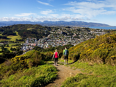 Suburbs and Rimutaka Ranges from Kingston with couple on walking track, Wellington, North Island, New Zealand, Pacific