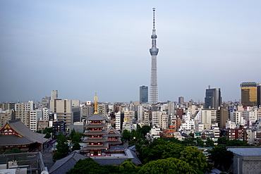 View over city with Tokyo Skytree and Five-Storied Pagoda, Tokyo, Japan, Asia