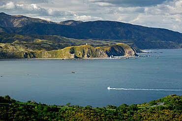 Wellington, North Island, New Zealand, Pacific