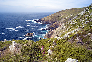 Tregerthen cliff, near St. Ives, Cornwall, England, United Kingdom, Europe