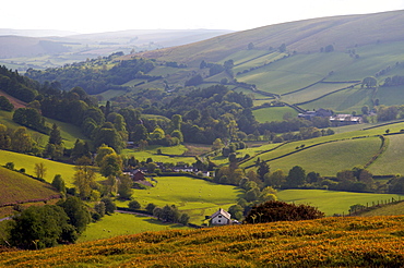 Landscape in Powys, Wales, United Kingdom, Europe 