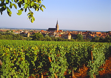 Bergheim, Alsace, France