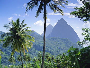 The Pitons, St. Lucia, Caribbean, West Indies