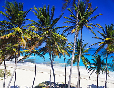 Bottom Bay, Barbados, Caribbean