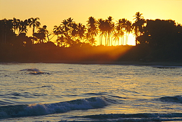 Confresi Beach, Dominican Republic, Caribbean, West Indies