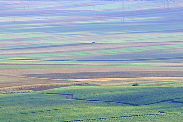 Agricultural landscape, Champagne, France, Europe