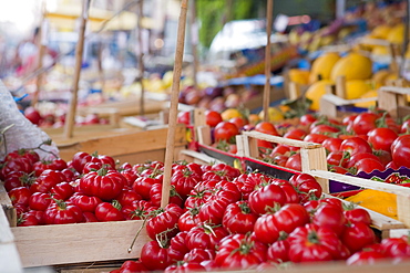 Tomatoes on street market stall, Palermo, Sicily, Italy, Europe