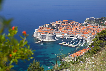 High view of city and harbour from mountain side, Dubrovnik, UNESCO World Heritage Site, Dalmatian Coast, Croatia, Europe 