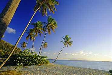 Darkwood Beach, Antigua, Caribbean, West Indies