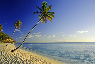 Darkwood Beach, Antigua, Caribbean, West Indies