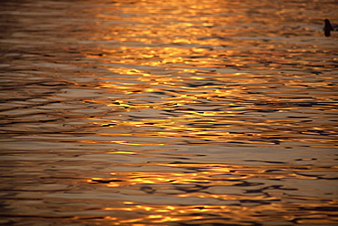 Calm water reflecting dusk light, Tysfjord, Arctic Waters, Polar Regions