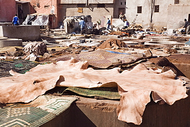 Vats and leather hides in an old Tannery owned by cooperative of families in the Medina, Marrakech, Morocco, North Africa, Africa