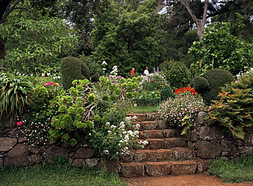 Blandy Gardens, Quinta do Palheiro, Madeira, Portugal, Europe