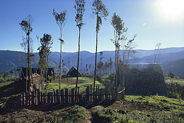 Poporata villae, Godala country, Central Province, Papua New Guinea, Pacific